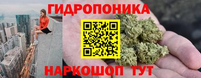 стафф Донецк