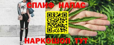 стафф Донецк