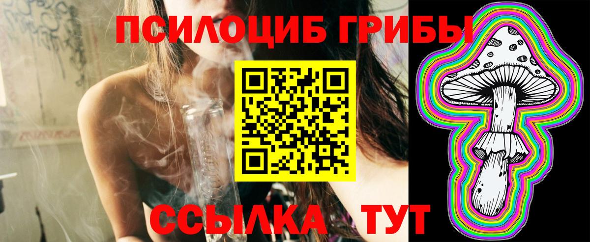 даркнет сайт  Псилоцибиновые грибы Psilocybine cubensis  Вход с VPN  Минусинск 