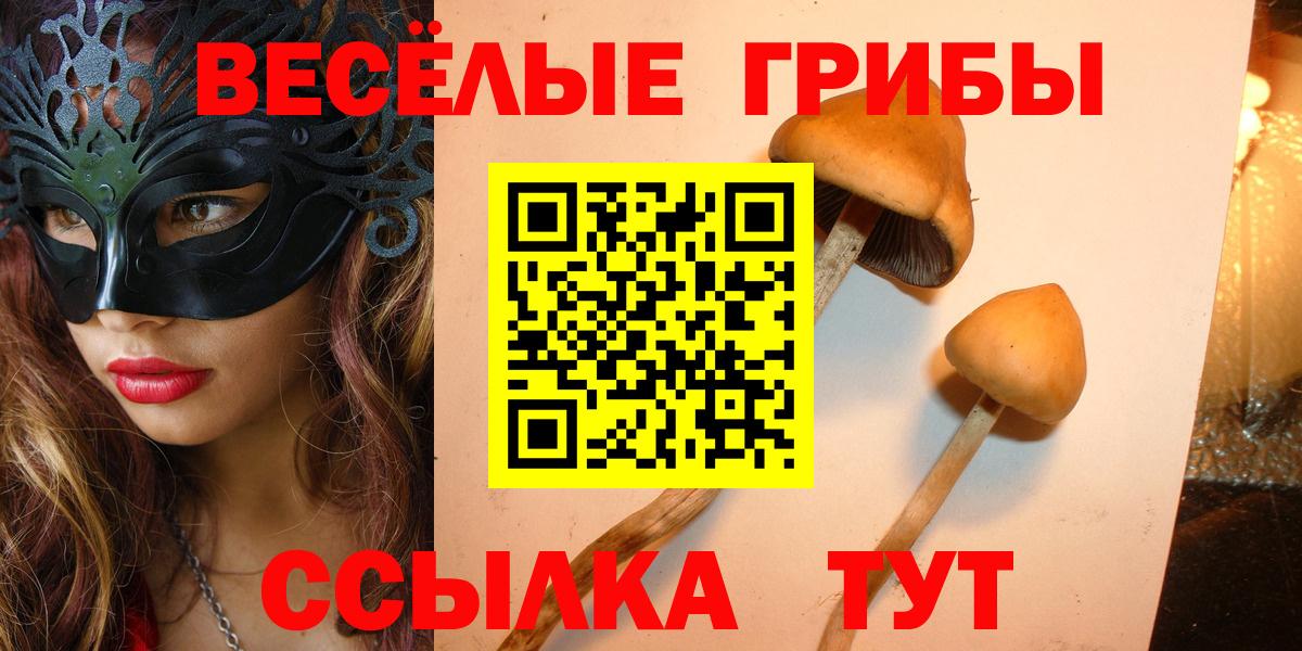 Меф  Вход с VPN  Минусинск  Alpha PVP СОЛЬ кристаллы  ГАШ  НБОМе  Меф МЯУ МЯУ кристаллы  Cocaine  Героин  Конопля  Экстази 